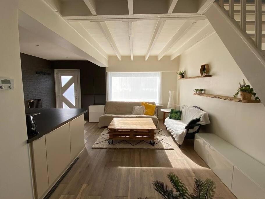 デ ハーン Cosy Beachhouse Within Walking Distance Of The Seaヴィラ エクステリア 写真