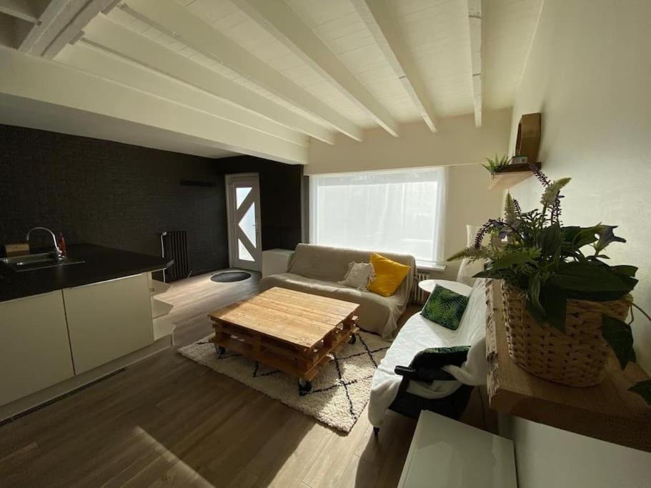 デ ハーン Cosy Beachhouse Within Walking Distance Of The Seaヴィラ エクステリア 写真